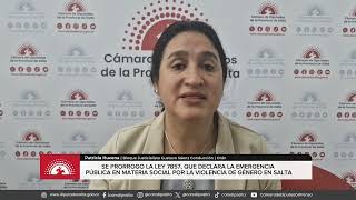 Prórroga de la ley de Emergencia Pública en Materia Social por Violencia de Género en Salta [upl. by Schaumberger980]