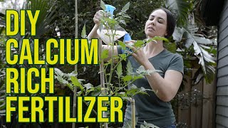 DIY Water Soluble Calcium Fertilizer Using Eggshells and Vinegar [upl. by Aelyak]