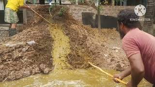 আপনার গরুর গোবর কি করেন  আমরা গরুর গোবর কি ভাবে রাখী দেখেন।cow farming গ্রাম ইন্ডিয়া assam [upl. by Hareenum]