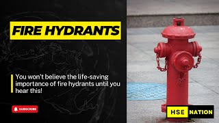 Why Fire Hydrants Are CRUCIAL MUST KNOW INFO [upl. by Airdnek]