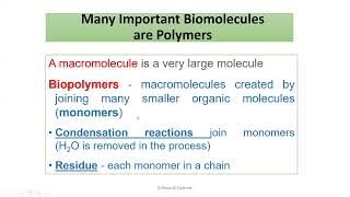 Polymers and macromolecules [upl. by Eilra58]