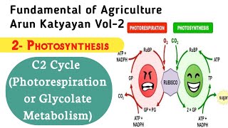 Photosynthesis  C2 Cycle or Photorespiration or Glycolate Metabolism Arun Katyayan Vol2 [upl. by Nilla98]