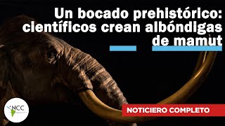 Un bocado prehistórico científicos crean albóndigas de mamut  555  29 mayo  4 junio 2023 [upl. by Kling]