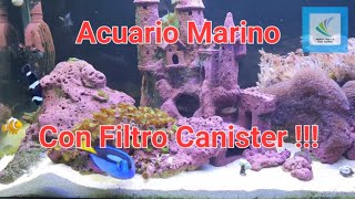 Acuario Marino Con Filtro Canister  Fluval fx6 [upl. by Adia]