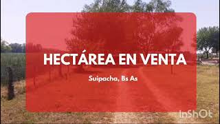 Hectarea en venta ubicada en Suipacha provincia de Buenos Aires [upl. by Bacon]