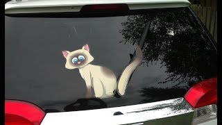 Wagging Cat and Waving Kitten WipurrTag Designs for rear vehicle wiper blades by WiperTags [upl. by Taffy183]