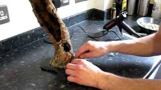 Setting up an arboreal tarantula terrarium PART 1 [upl. by Island]