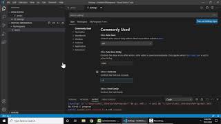 How to Change Font Size in Visual Studio Code [upl. by Notnerb]