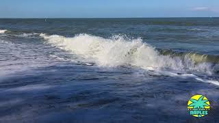 Waves in Slow Motion at DelnorWiggins Pass State Park  Naples FL [upl. by Nolahc671]