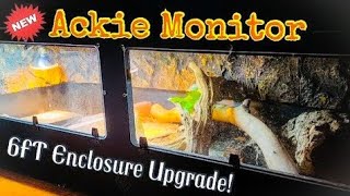 New 6x2x2 Ackie Monitor Enclosure [upl. by Sahcnip]