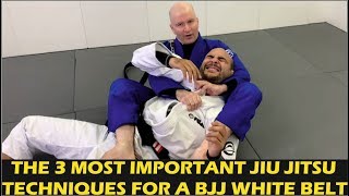 The 3 Most Important Jiu Jitsu Techniques For A BJJ White Belt by John Danaher [upl. by Lesser]