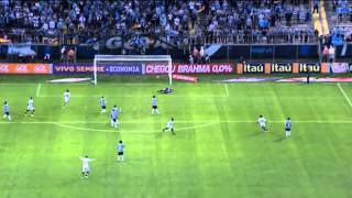 Incredible Seedorf goal  Gremio vs Botafogo [upl. by Wildermuth]