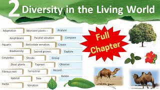 Diversity in the Living World  Class 6 Science Chapter 2  curiosityiclass6  ncert kvs nvs [upl. by Faxon]