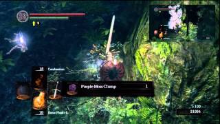 Dark Souls Farming Tutorial Walkthrough Blooming Purple Clumps Bloodred Clumps [upl. by Jamin415]