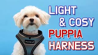 PUPPIA How to put on a Harness  E Style [upl. by Lewls635]