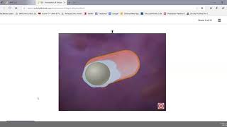 Bacterial Endospores [upl. by Willcox]