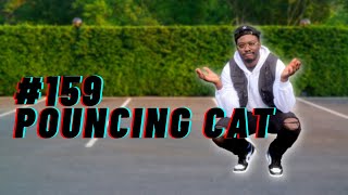 HOW TO POUNCING CAT IN 15 SECONDS LESSON 159 shorts [upl. by Erbua400]