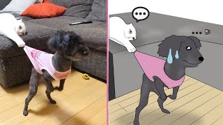 Dog memes  Never make a dog angry 100 makes you laugh [upl. by Ohs]