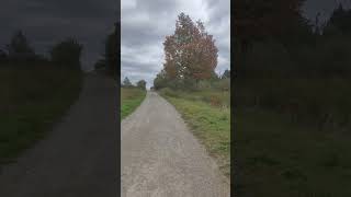 Beautiful Claireville Conservation Area canada travel travel [upl. by Nay]