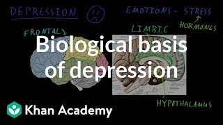 Biological basis of depression  Behavior  MCAT  Khan Academy [upl. by Freudberg]