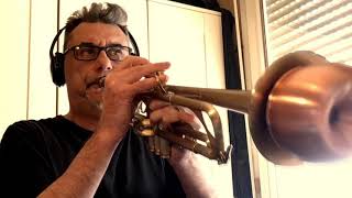 BLIND TEST TRUMPET MUTES instructional video [upl. by Aivekahs833]