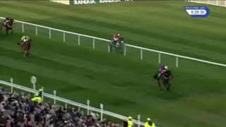 Jockey gets trampled on by a horse [upl. by Risa237]