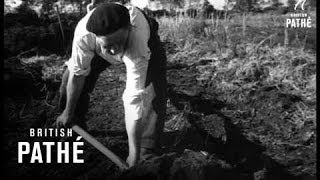 Peat Digging 1947 [upl. by Ymiaj]