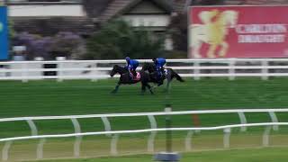 17 Sep Gallops Gallop 2 [upl. by Aztiraj]