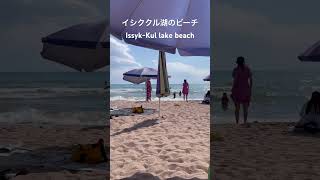 イシククル湖のビーチ。IssykKul lake beach [upl. by Aniara]