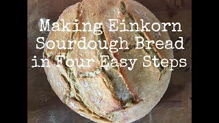 Making Einkorn Sourdough Bread in Four Simple Steps [upl. by Yramesor]