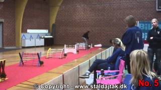 Danish Championships 2012 in Rabbit Hopping  Elite straight  Top 10 [upl. by Tereve]