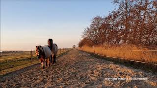 Der wilde wilde Westen fängt kurz hinterm Nordseedeich an [upl. by Atneuqal]