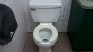 Rare Vitromex Toilet in Canada [upl. by Alra]