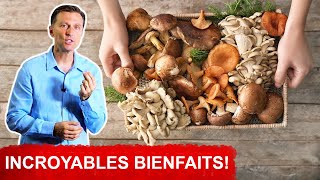 7 Types De Champigons Dont Les Bienfaits Sont Incroyables [upl. by Reube]