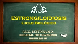 ESTRONGILOIDIOSIS Strongyloides stercolarias Ciclo Biológico Biología [upl. by Darnoc]