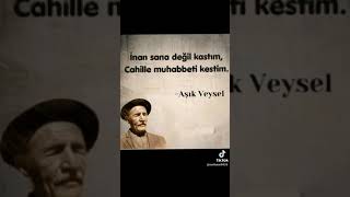 Aşık veysel [upl. by Ecirtal]