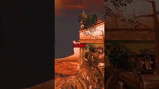 The Craziest Glitch in Black Ops [upl. by Ecidnac213]