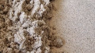 Beach Haven Sand Damp amp Dry ♥️ Please Read Description ♥️ [upl. by Lohman]