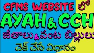 CFMS WEBSITE ద్వారా CCHAAYAH BILLS వారి అకౌంట్ లో జమ అయినవి లేనిది తెల్సుకునే పూర్తి విధానం [upl. by Ymij225]