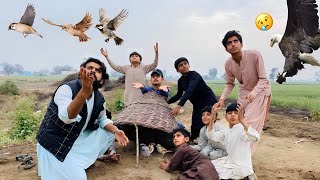 Trap Main Sparrows Phans gyen Magr……😍  Sikra Hen Ka Bacha La Giya 😢 [upl. by Ellehc]