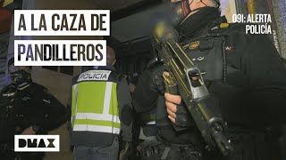 La policía busca a los miembros de dos bandas latinas enfrentadas  091 Alerta policía [upl. by Heidi]