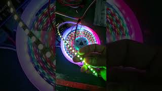 Digital Intelligent RGB RGBW White LED Strips  Smart Bright LEDs [upl. by Alliuqal144]