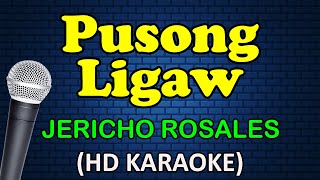 PUSONG LIGAW  Jericho Rosales HD Karaoke [upl. by Frasco514]