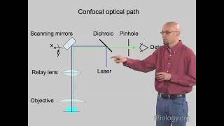 Confocal Microscopy（optical sectioning） and Triangulation 3D scanning technology [upl. by Htebasile]