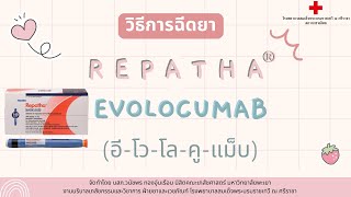 repatha  evolocumab [upl. by Rotow304]