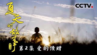 《夏天的故事 第二季》“草原之子”孟杰多吉：“海归” 探索人与自然和谐共生的牧民新生活 EP02【CCTV纪录】 [upl. by Noslrac194]