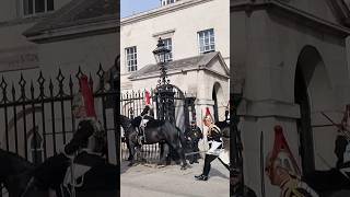 Kings Horse Duty Unveiled 😳 How Long Do Horses Stand at Horse Guards [upl. by Sheffield]