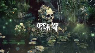 CHRIS RAIN  quotOPEN UPquot Official Lyric Video [upl. by Aisul]