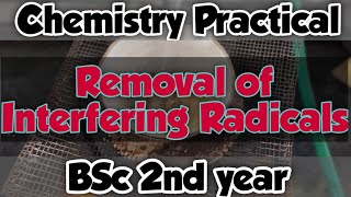 Removal of Interfering Radical  Chemistry practical  BSc 2nd year [upl. by Allyn713]