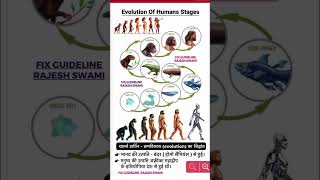 Evolution of human [upl. by Latham]